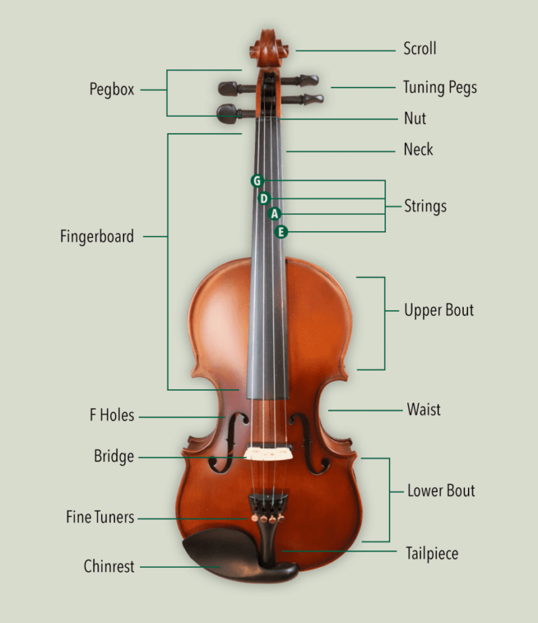 How Do Violins Work