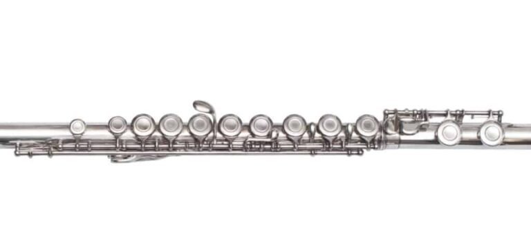 How Many Buttons Does a Flute Have