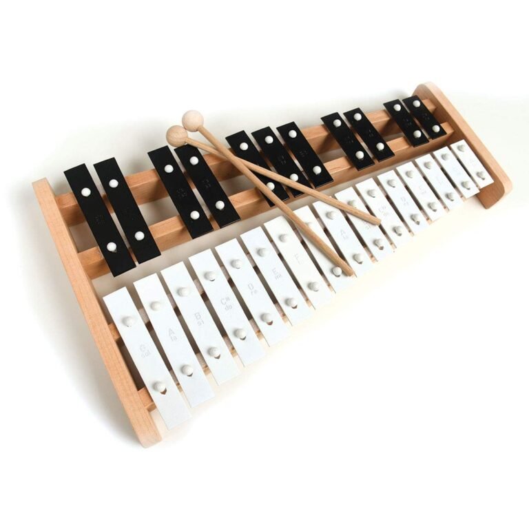 How Much Does a Xylophone Cost