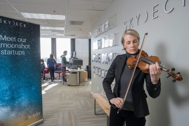 How Successful is Violin As a Career