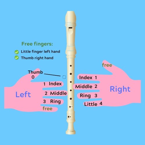 How to Play a Recorder Flute