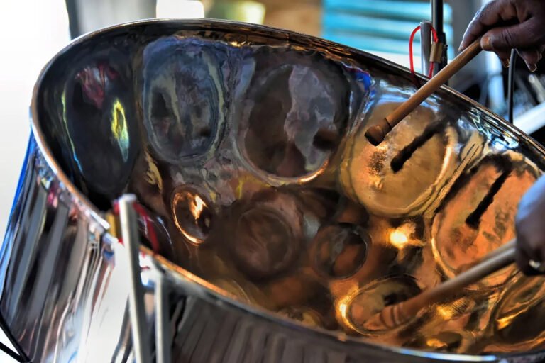 How to Play a Steel Drum