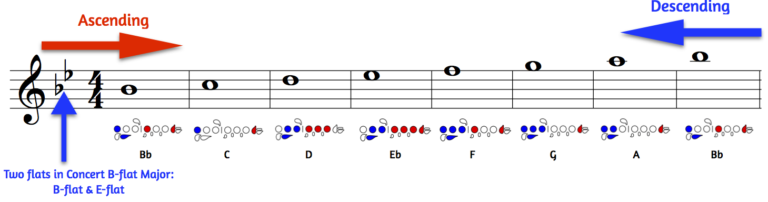 How to Play B Flat Scale on Flute