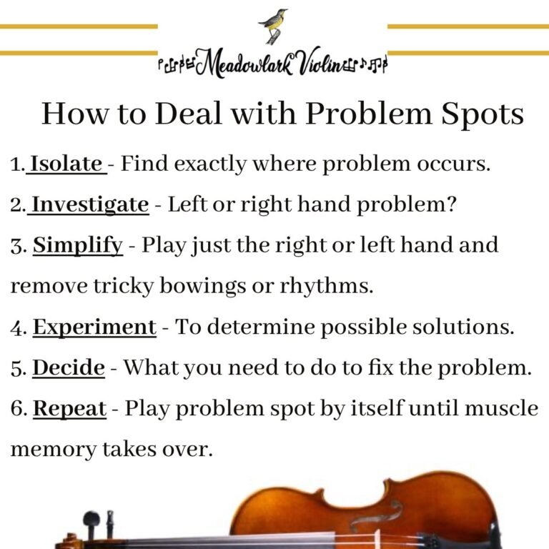 How to Play the Violin for Dummies