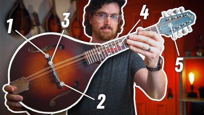 How to Set Up a Mandolin