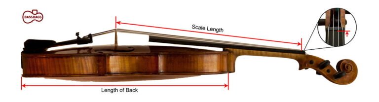 How to Tell Size of Violin