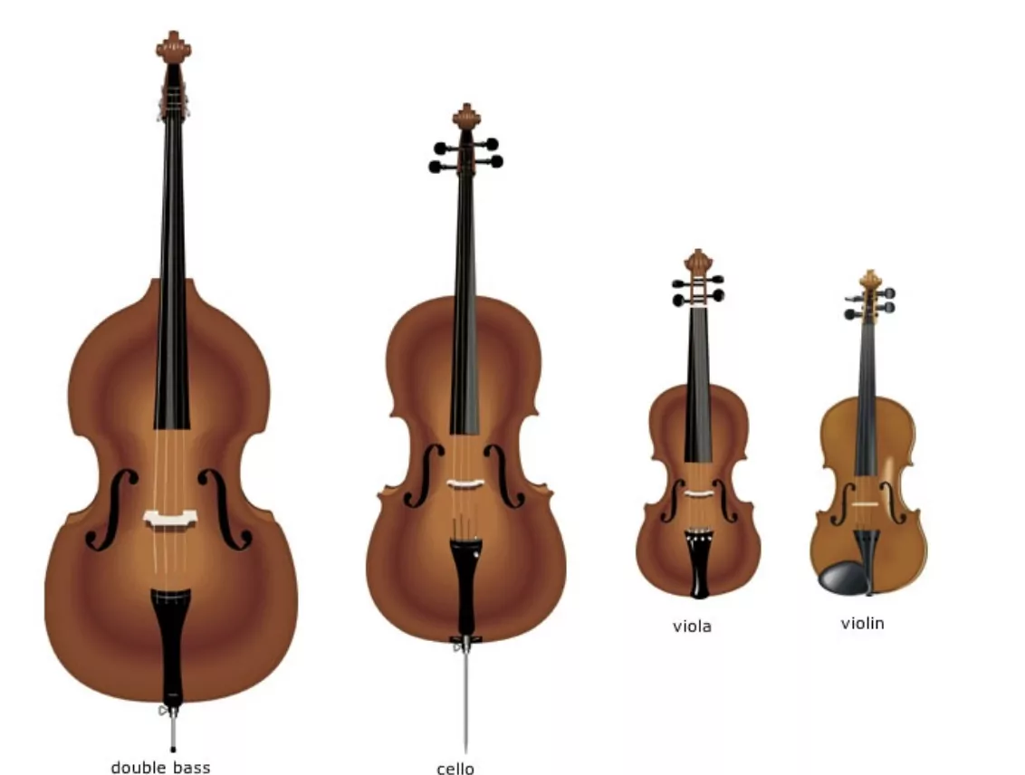 Many String Instruments Is Cello Harder Than Violin | Insights Of Musical Instruments