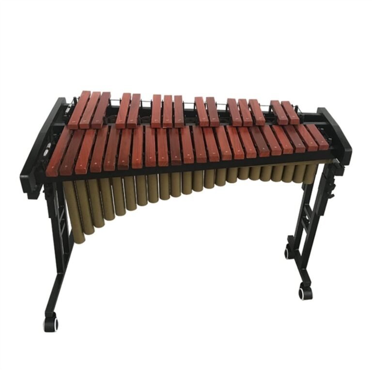 Is the Xylophone a Percussion Instrument