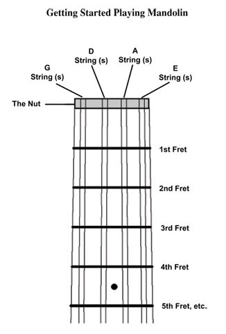 What are the Strings on a Mandolin
