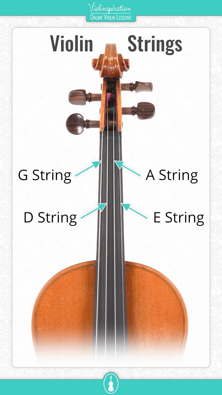 What are the Strings on a Violin