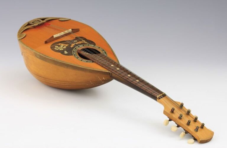 What Does a Mandolin Look Like