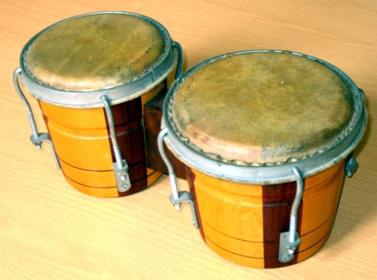 What is a Bongo Drum
