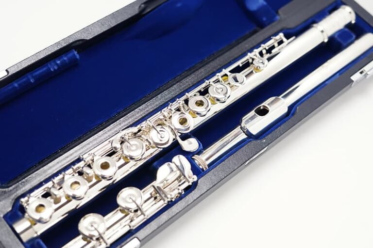 What Kind of Reverb is Best for Flute