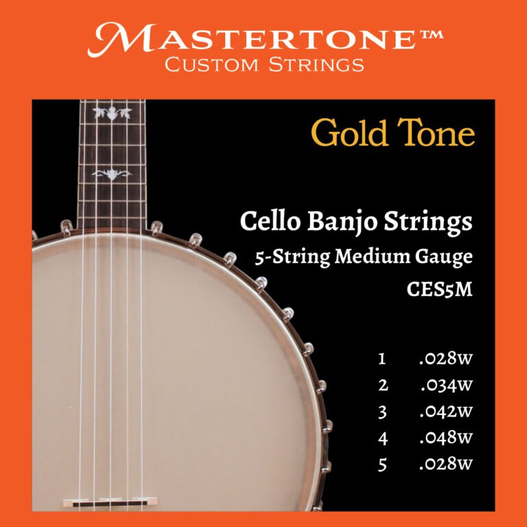 What Strings are on a Banjo