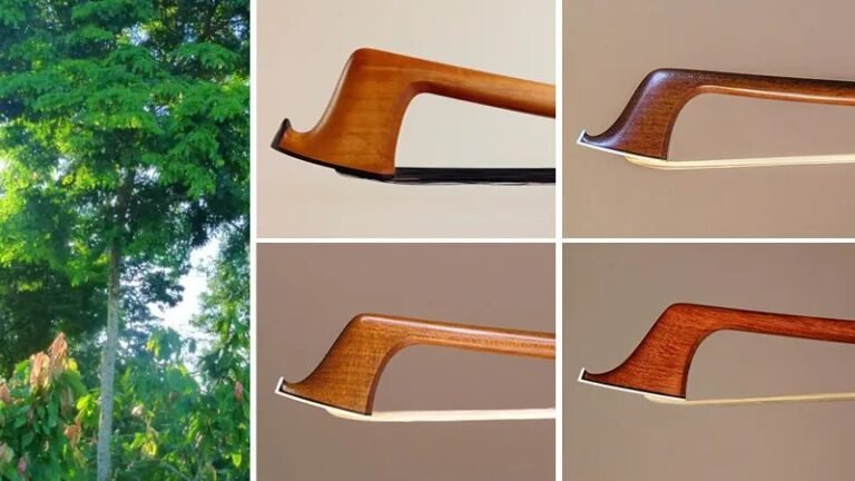 What Wood Makes Violin Bows
