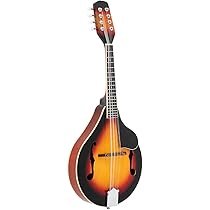 Where Can I Buy a Mandolin