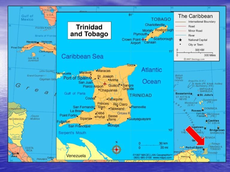 Where Did the Steel Drum Originate