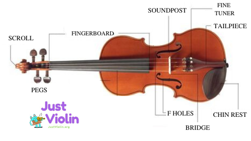 Where to Get a Violin