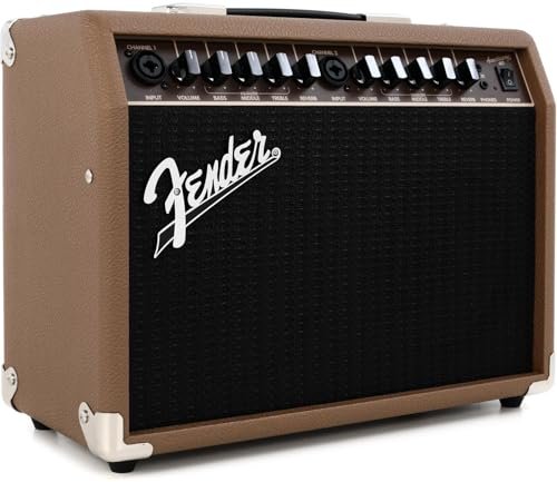 Best Acoustic Guitar Amps