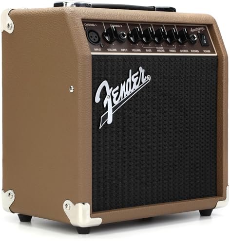 Best Amp for Acoustic Guitar