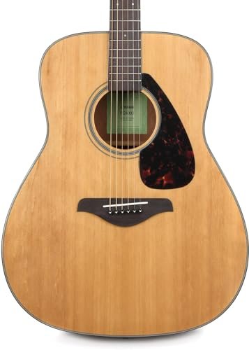 Which Guitar is Best for Beginners