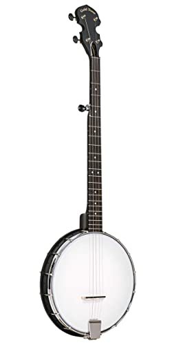 Gold Tone AC-1