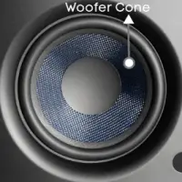 Woofer Cone