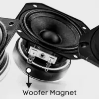 Woofer Magnet